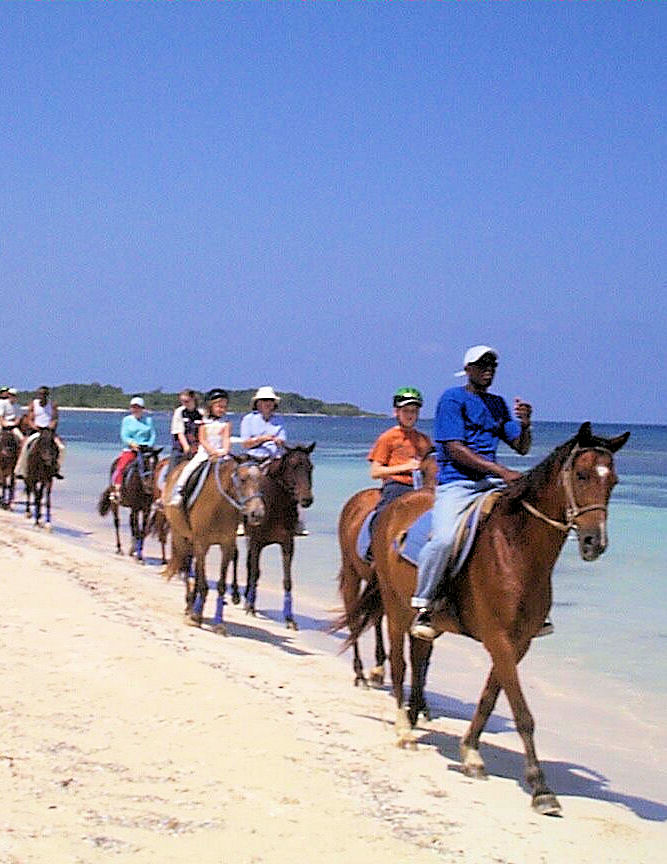 Montego Bay - Braco Estate Horseback